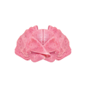 Beef Mortadella Plain - 500g